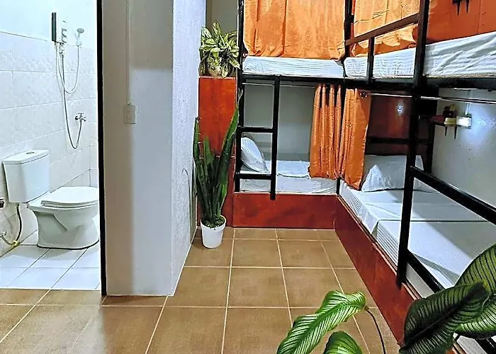 West Coast House Hotel 5*